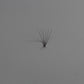 6D .05 Volume Premade Lashes (Mixed Tray)