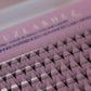 eyelash extensions near me